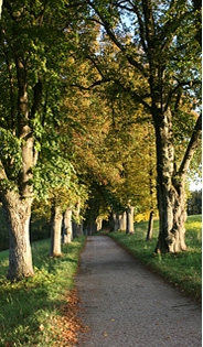 Landschaftsfotografie